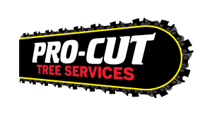 Procut Tree Services Logo – White Bg